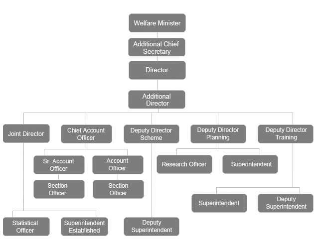 org chart